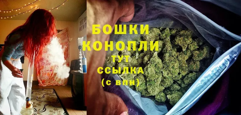 kraken ссылки  Ясногорск  МАРИХУАНА White Widow 